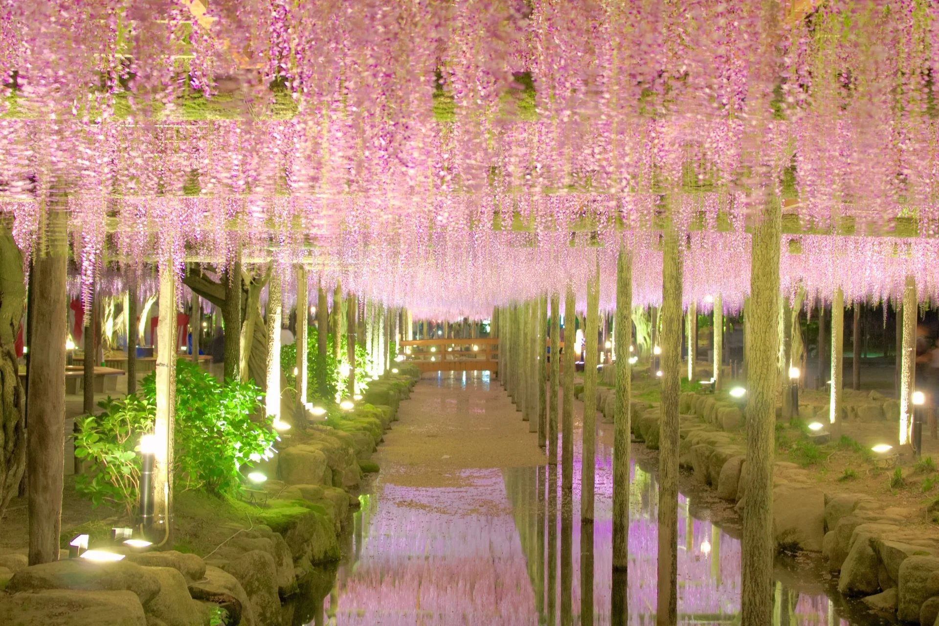 ⛩️ 백사 변재천 (하쿠자 벤자이텐) 이미지 8